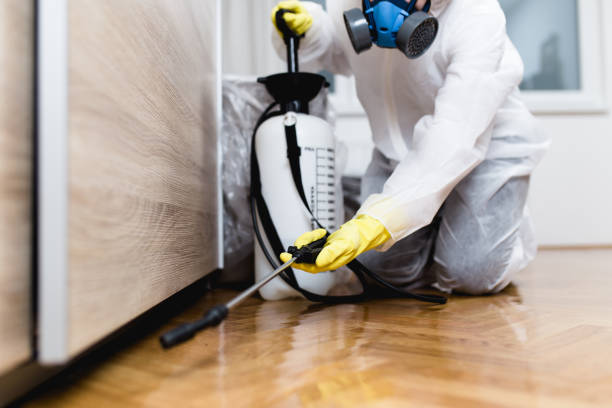 Pest Control for Restaurants in Lodi, WI