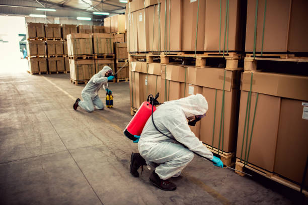 Best Wasp Removal Services  in Lodi, WI
