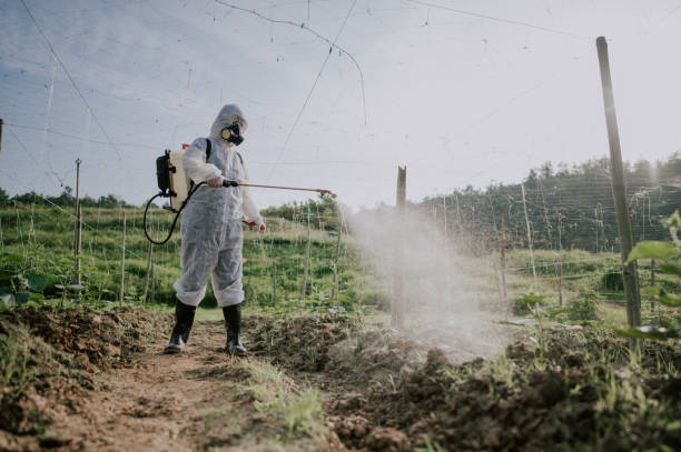 Best Pest Prevention Services  in Lodi, WI