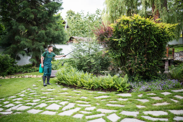 Best Pest Inspection Near Me  in Lodi, WI