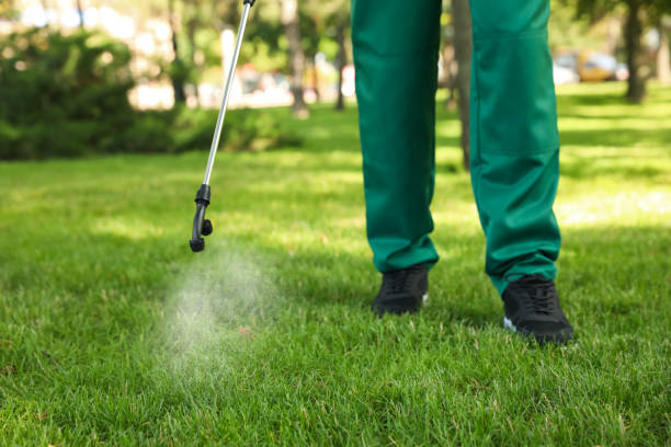 Reliable Lodi, WI Pest Control Solutions