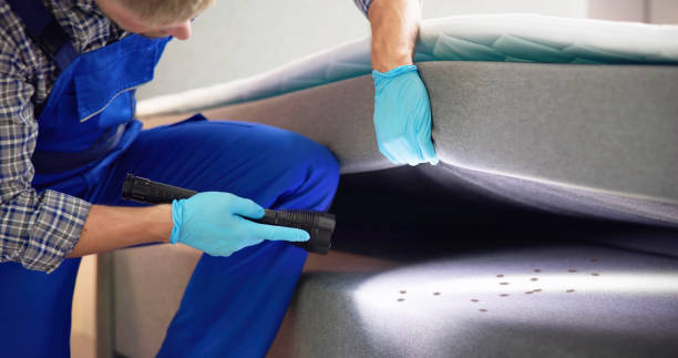 Best Termite Control Services  in Lodi, WI