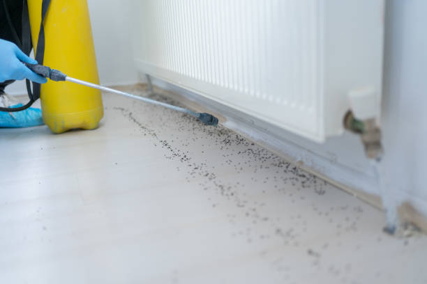 Best Residential Pest Control  in Lodi, WI